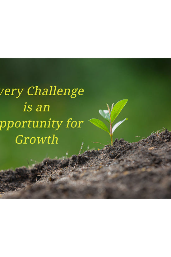 Inspirational Growth Poster "Every Challenge" Satin Print by Grace Canvas Shop