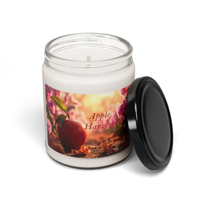 Scented Candles 9oz - Choose Your Scent by Grace Canvas Shop